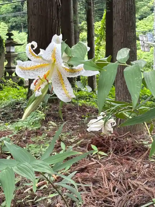 吾妻神社(群馬県)