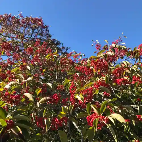 稲毛浅間神社(千葉県)