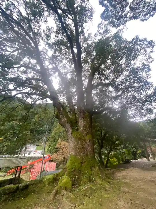 流谷八幡神社(大阪府)