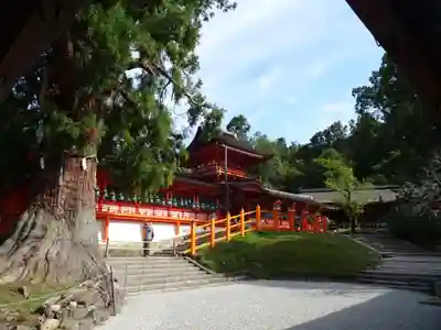 春日大社のその他建物