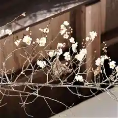 岡部春日神社～👹鬼門よけの🌺花咲く🌺やしろ～(福島県)