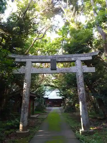 渡海神社の鳥居