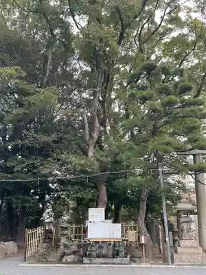 菅原神社の自然