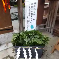 七重浜海津見神社(北海道)