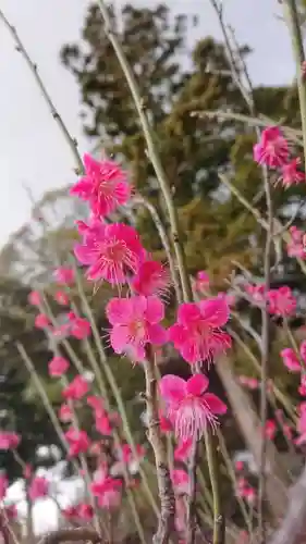 筑波山神社の自然