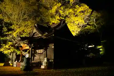 玉敷神社の本殿・本堂