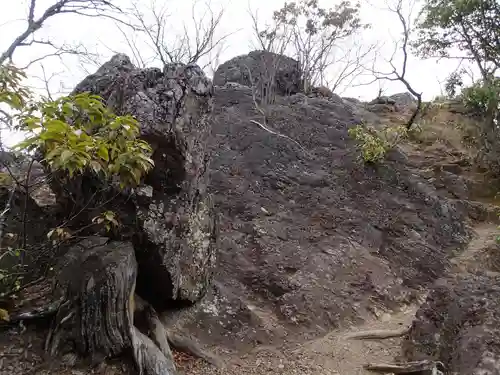 武蔵二宮 金鑚神社の自然