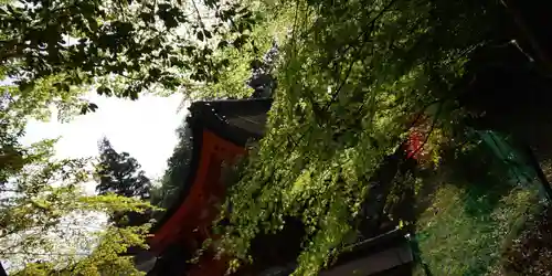 出雲大神宮のその他建物