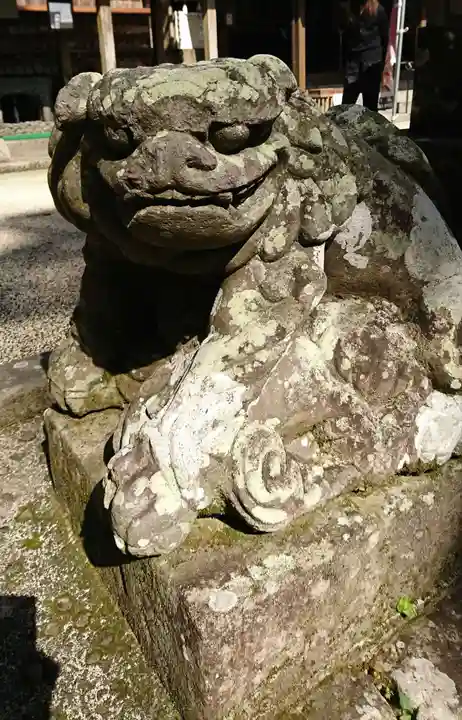 新田神社の狛犬