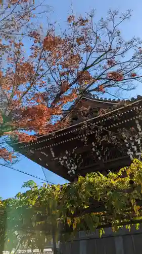 妙蓮寺(京都府)