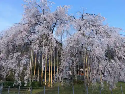 足羽神社(福井県)