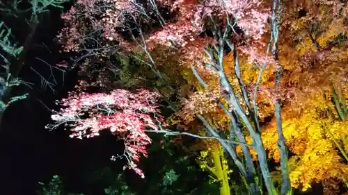 北広島市総鎮守　廣島神社の自然