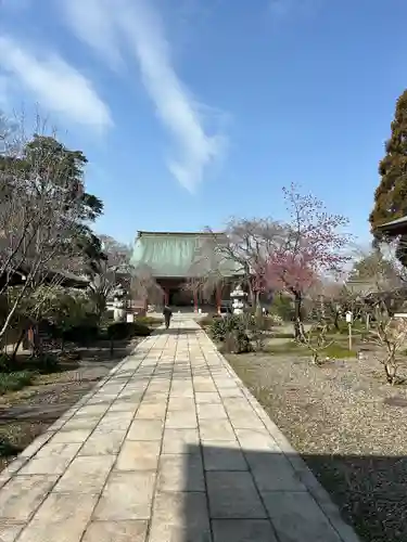 善導寺(群馬県)