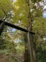 八坂神社(千葉県)