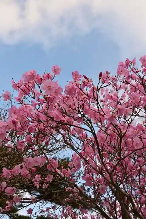 日光二荒山神社中宮祠の自然