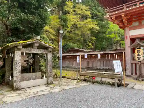 日吉大社の手水舎