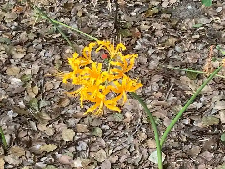 横浜 西方寺(神奈川県)