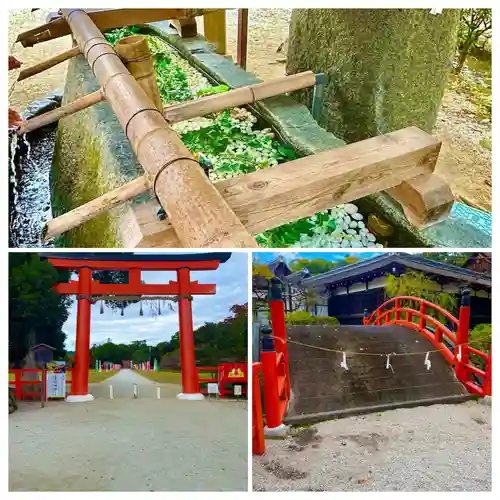 賀茂別雷神社（上賀茂神社）(京都府)