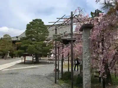 清凉寺のその他建物