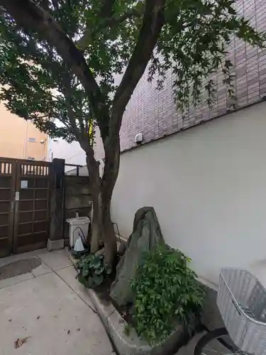 真龍寺(東京都)