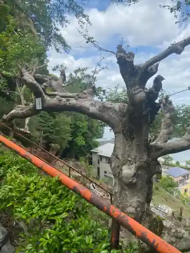 石山寺(滋賀県)
