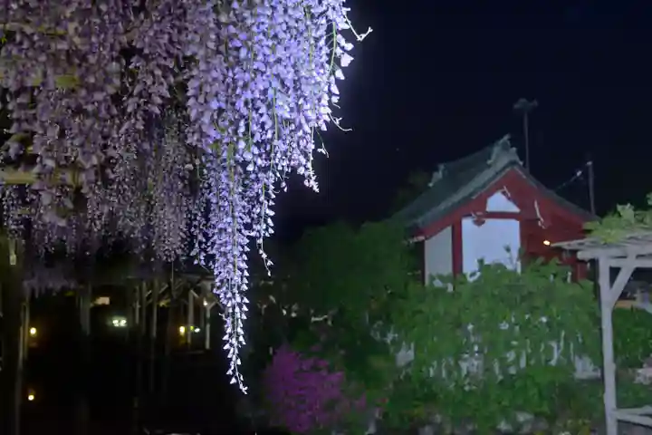 亀戸天神社(東京都)