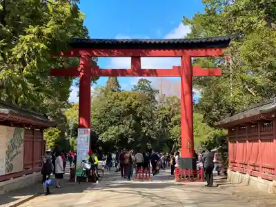 武蔵一宮氷川神社の鳥居