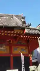 浅草神社の建物その他