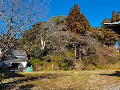 淡海國玉神社のその他建物