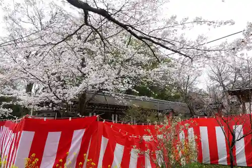 平野神社(京都府)