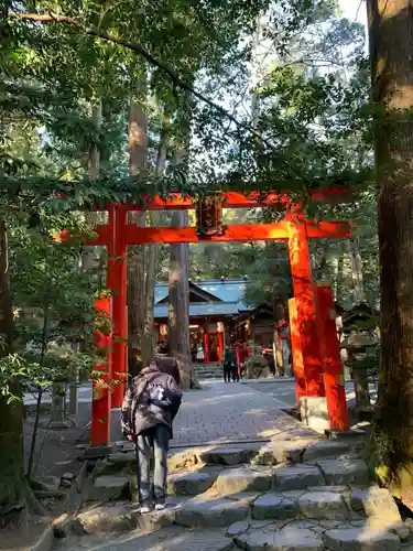 椿大神社の鳥居