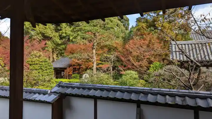 雲龍院(京都府)