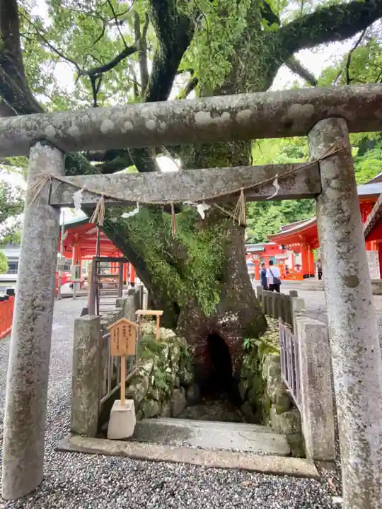 熊野那智大社(和歌山県)