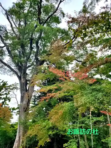 神炊館神社 ⁂奥州須賀川総鎮守⁂(福島県)