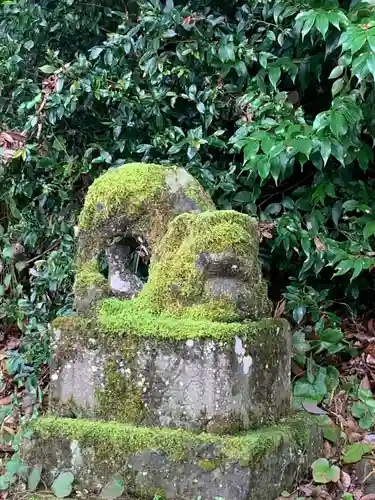 天日名鳥命神社の狛犬