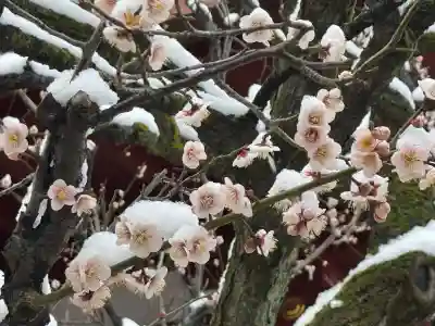 亀戸天神社の{uncategorized: "未分類", other: "その他", undefined: "問題あり", building: "その他建物", grave: "お墓", sacred_gate: "鳥居", guardian: "狛犬", statue: "像", buddha: "仏像", history: "歴史", nature: "自然", garden: "庭園", animal: "動物", pagoda: "塔", temizu: "手水舎", mountain_gate: "山門・神門", sanctuary: "本殿・本堂", subordinate: "末社・摂社", art: "芸術", scenery: "景色", jizo: "地蔵", ema: "絵馬", goshuin: "御朱印", omikuji: "おみくじ", items: "授与品その他", amulet: "お守り", goshuincho: "御朱印帳", eats: "食事", festival: "お祭り", votive_dance: "神楽", shichigosan: "七五三参", wedding: "結婚式", experience: "体験その他", initially: "初詣", around: "周辺", anti_infection: "感染症対策"}