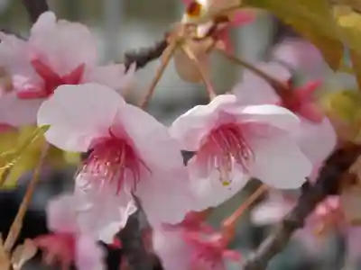 宝戒寺(神奈川県)