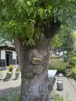 大日寺(愛知県)