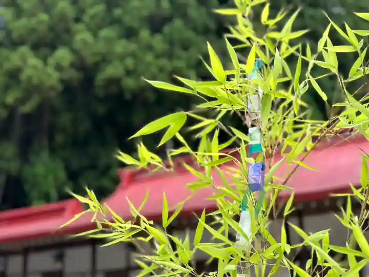 金蛇水神社(宮城県)