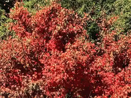 立鉾鹿島神社の自然