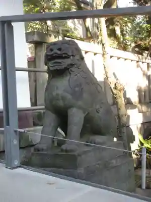 富岡八幡宮の狛犬