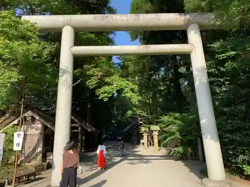 天岩戸神社の鳥居