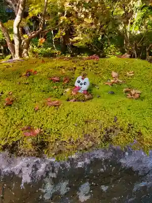 五所駒瀧神社(茨城県)