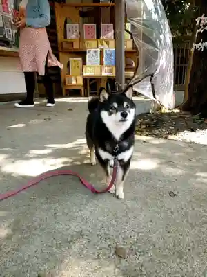 上目黒氷川神社(東京都)