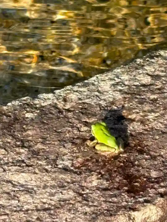 劔霊神社(山口県)