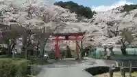 射手神社の鳥居
