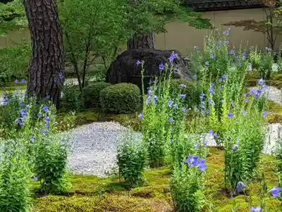 廬山寺(廬山天台講寺)(京都府)