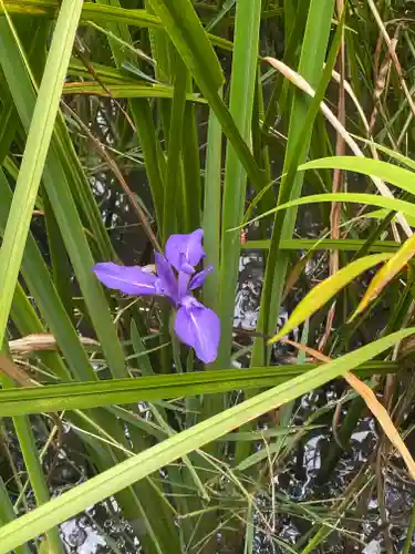 唐招提寺(奈良県)