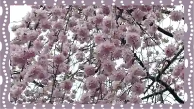 寛永寺(根本中堂)(東京都)