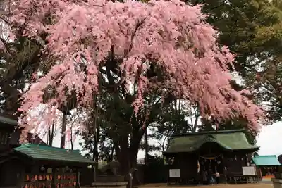三島八幡神社の本殿・本堂